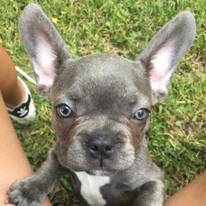 Meet your Posher, Lindsay